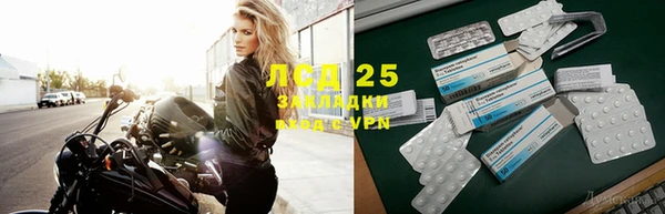 spice Бородино