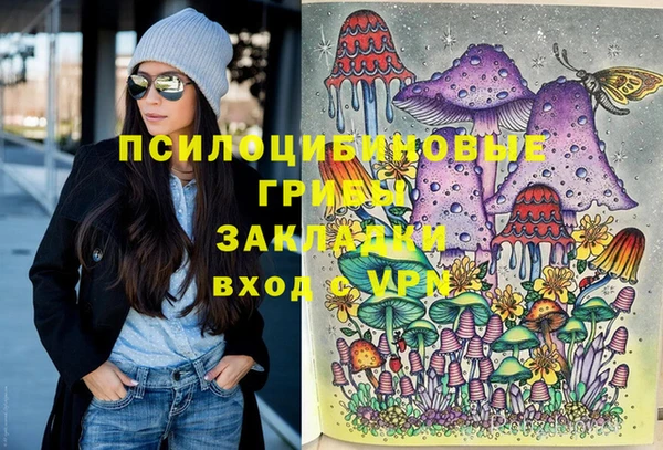мяу мяу мука Богданович